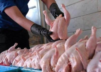فروش مرغ با قیمت بالاتر از نرخ مصوب ادامه دارد ، هر کیلو مرغ چند شد؟